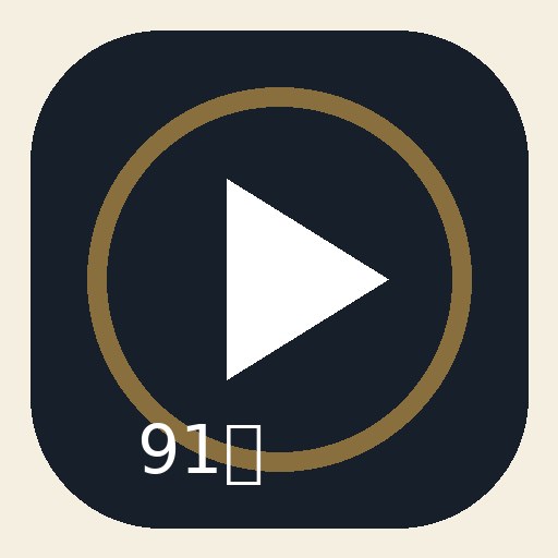 91网品牌Logo展示图